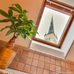 Апартаменты Daily Apartments - Old Town Pikk интерьер отеля