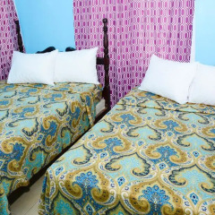 Отель Nickel's BedNBreakfast комната для гостей фото 2