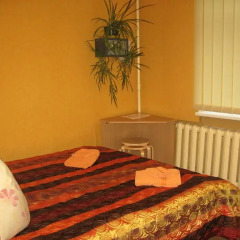 Central Park Hostel Стандартный номер с двуспальной кроватью (общая ванная комната) фото 3