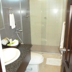 Hotel Avila Panama 3* Улучшенный номер с различными типами кроватей фото 4