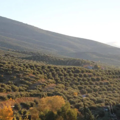 Отель Casa El CastaÑo Алькаудете фото 3