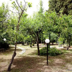 Отель Casa Vacanze Medea Сиракуза фото 9