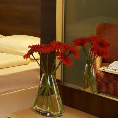 Hotel Alpha Wien 3* Стандартный номер с различными типами кроватей