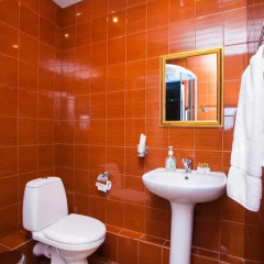 Гостиница Калифорния 3* Стандартный номер двуспальная кровать фото 10