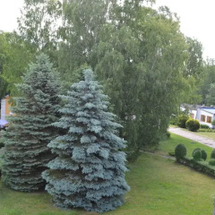 Гостиница Пансионат Балтика фото 2