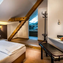 Boutique Hotel Donauwalzer 3* Стандартный номер с двуспальной кроватью фото 14