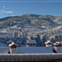 Отель Villa Orpheus Болгария, Чепеларе - отзывы, цены и фото номеров - забронировать отель Villa Orpheus онлайн фото 3