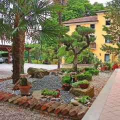 Отель Agriturismo Al Colle Del Ciliegio Италия, Региональный парк Colli Euganei - отзывы, цены и фото номеров - забронировать отель Agriturismo Al Colle Del Ciliegio онлайн фото 12