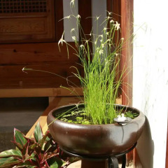 Отель Mumum Hanok Guesthouse гостиничный бар