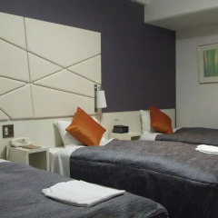 Shiba Park Hotel 151 4* Стандартный номер фото 4
