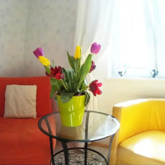 Отель Apartament w centrum Starówki Old Town Польша, Гданьск - отзывы, цены и фото номеров - забронировать отель Apartament w centrum Starówki Old Town онлайн комната для гостей фото 4