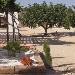 Отель Casa Rural El Olivar de las Pepinas Сакс