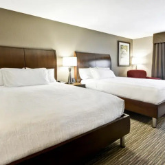 Отель Hilton Garden Inn Sarasota - Bradenton Airport 3* Стандартный номер с различными типами кроватей фото 2