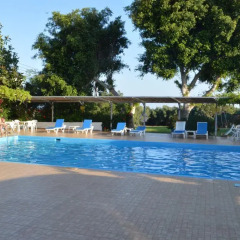 Chrysland Hotel детские мероприятия фото 2