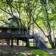 Отель Ackergill Tower 5* Апартаменты с различными типами кроватей фото 6