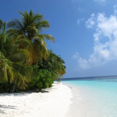 Отель Beach Palace пляж фото 2