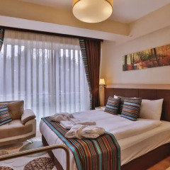 Manesol Suites Golden Horn Турция, Стамбул - отзывы, цены и фото номеров - забронировать отель Manesol Suites Golden Horn онлайн комната для гостей фото 4