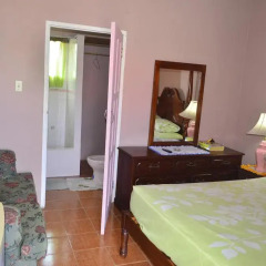 Отель Little Shaw Park Guest House 2* Стандартный номер с различными типами кроватей фото 3