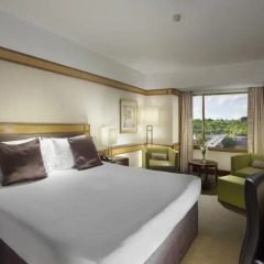 Отель InterContinental Prague 5* Номер Делюкс с различными типами кроватей фото 9