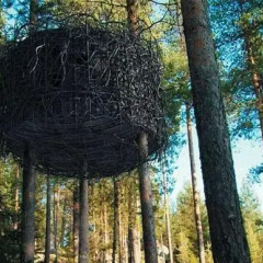 Tree Hotel 5* Стандартный номер с различными типами кроватей фото 19