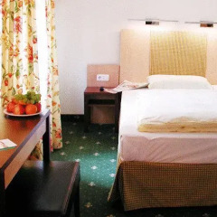 Hotel Haberstock 3* Стандартный номер с различными типами кроватей фото 15