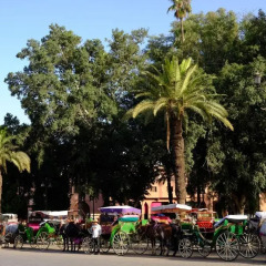Отель Riad Dar Alfarah Марокко, Марракеш - отзывы, цены и фото номеров - забронировать отель Riad Dar Alfarah онлайн спортивное сооружение