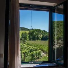 Отель Tenuta La Pergola Чистерна-д'Асти комната для гостей фото 3