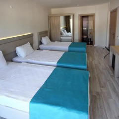 Palmea Hotel 4* Стандартный номер с различными типами кроватей фото 3