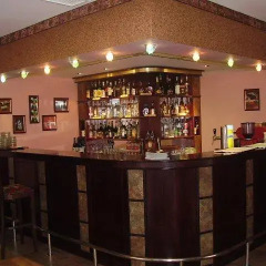 Отель Motel Secret Болгария, Димитровград - отзывы, цены и фото номеров - забронировать отель Motel Secret онлайн гостиничный бар