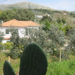 Отель In Collina Al Mare Di Sperlonga Итри фото 12