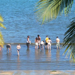 Отель Smugglers Cove Beach Resort and Hotel Фиджи, Вити-Леву - отзывы, цены и фото номеров - забронировать отель Smugglers Cove Beach Resort and Hotel онлайн фитнесс-зал