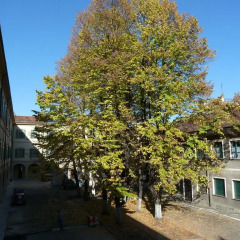 Отель Housing Giulia