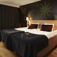 Отель Scandic Luleå 3* Стандартный номер с различными типами кроватей фото 3