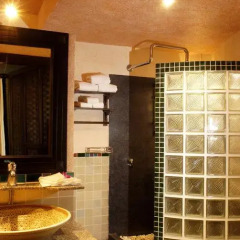 Отель Mangosteen Ayurveda & Wellness Resort 4* Президентский люкс с двуспальной кроватью фото 13