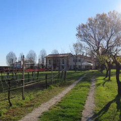 Отель Agriturismo L'Albara Италия, Лимена - отзывы, цены и фото номеров - забронировать отель Agriturismo L'Albara онлайн парковка
