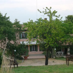 Отель Terre Rosse Farmhouse Италия, Региональный парк Colli Euganei - отзывы, цены и фото номеров - забронировать отель Terre Rosse Farmhouse онлайн фото 5