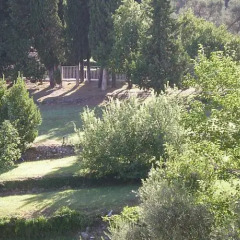 Отель Springs Черногория, Будва - отзывы, цены и фото номеров - забронировать отель Springs онлайн фото 2