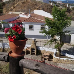 Отель Complejo de Cuevas Almugara Апартаменты с различными типами кроватей фото 10