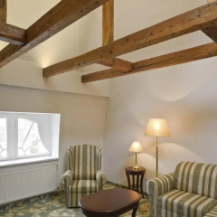 Отель EA Hotel Elefant Чехия, Карловы Вары - отзывы, цены и фото номеров - забронировать отель EA Hotel Elefant онлайн детские мероприятия фото 2