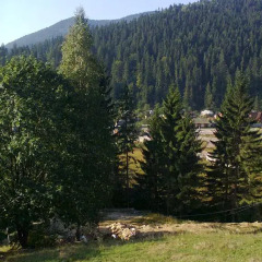Гостиница Petrikholm фото 6