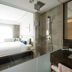 Отель Novotel Ambassador Seoul Gangnam 4* Стандартный номер с различными типами кроватей фото 4