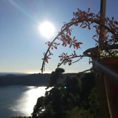 Отель Albergo Diffuso Locanda Specchio Di Diana Италия, Неми - отзывы, цены и фото номеров - забронировать отель Albergo Diffuso Locanda Specchio Di Diana онлайн приотельная территория