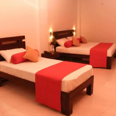 Отель Vin Roma Homestay комната для гостей фото 5