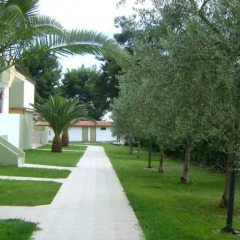 Отель Amari Hotel Греция, Метаморфоси - отзывы, цены и фото номеров - забронировать отель Amari Hotel онлайн помещение для мероприятий
