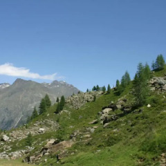 Отель Alpenhotel фото 2