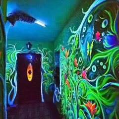 Гостиница Studene детские мероприятия фото 2