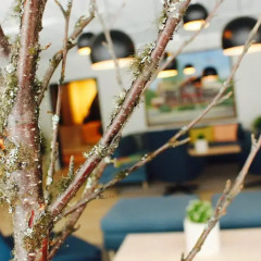 Trudvang Apartment Hotel гостиничный бар