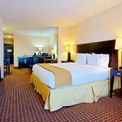 Holiday Inn Express Hotel & Suites Ozona 3* Стандартный номер фото 3