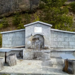 Отель Guest House Elitsa Болгария, Чепеларе - отзывы, цены и фото номеров - забронировать отель Guest House Elitsa онлайн фото 11