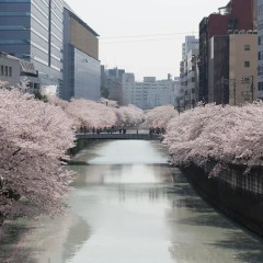 Отель Mid In Meguro-Ekimae Япония, Токио - отзывы, цены и фото номеров - забронировать отель Mid In Meguro-Ekimae онлайн приотельная территория